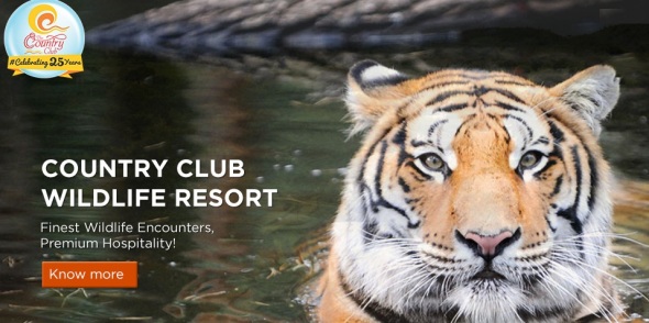 Country Club Wildlife Resort